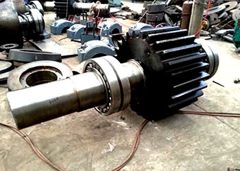 Arbore pinion